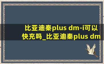 比亚迪秦plus dm-i可以快充吗_比亚迪秦plus dm-i可以挂绿牌吗